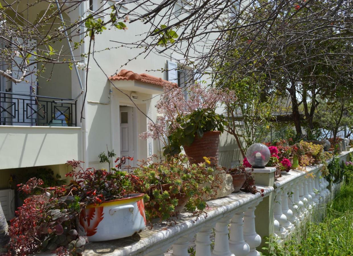 Araucaria Home Lixouri Ngoại thất bức ảnh